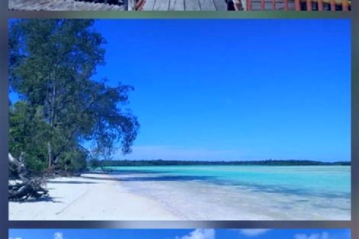 Nora, 37 — Escort in Pulau Tiga, Indonesia