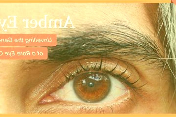 Nora, 38, a black amber-eyed caucasian companion based in Greetsiel. Offering Striptease, Domination, Dinner Date. Available for incall and outcall, overnigh...