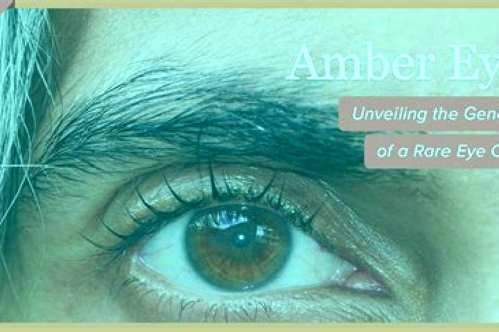 Nora, 38, a black amber-eyed mixed companion based in Ossendorf. Offering CIM, 69. Available for incall and outcall, day and evening dates.