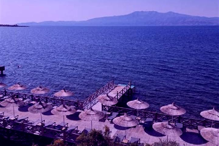 Nora, 38 — Escort in Dionysos, Greece