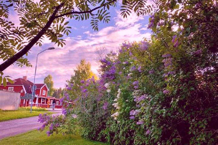 Nora, 38 — Escort in Ornaes, Sweden