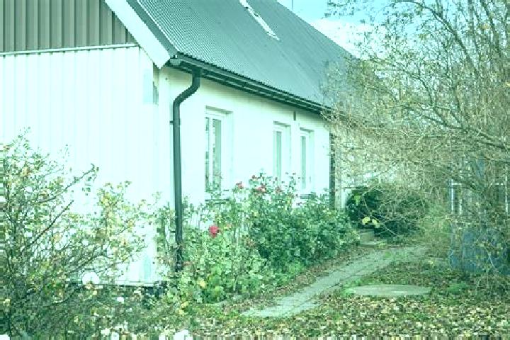 Nora, 39 — Escort in Ingelstad, Sweden
