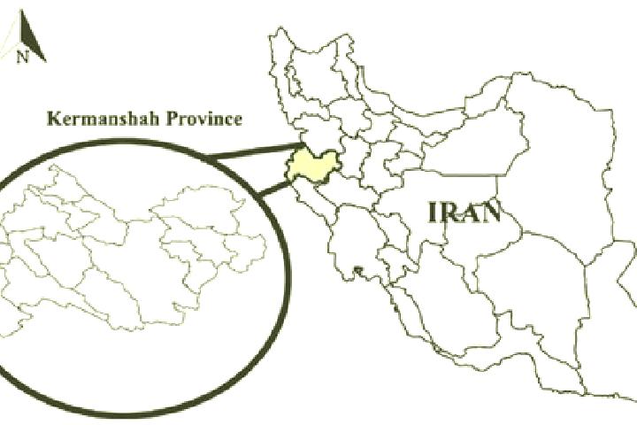 Nora, 39 — Escort in Khalil Shahr, Iran