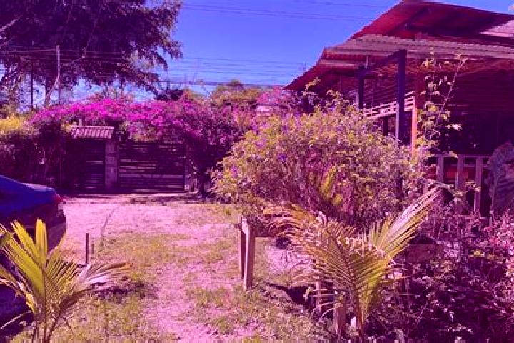 Nora, 39 — Escort in Sabalito, Costa Rica