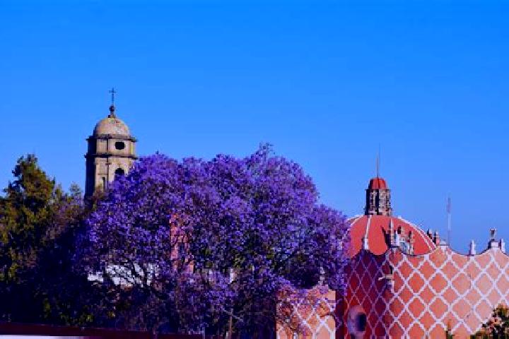 Nora, 39 — Escort in Tlahuac, Mexico