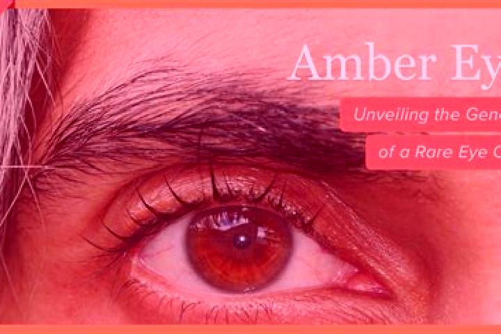 Nova, 20, a black amber-eyed caucasian companion based in Campo Alegre de Goias. Offering Girlfriend Experience, Domination, Striptease. Available for incall...