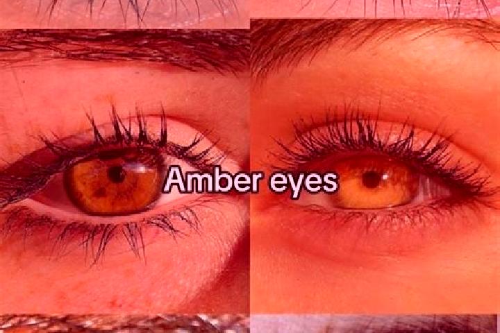 Nova, 20, a chestnut amber-eyed mixed companion based in Rammingen. Offering Roleplay, Girlfriend Experience, Massage. Available for incall and outcall, over...