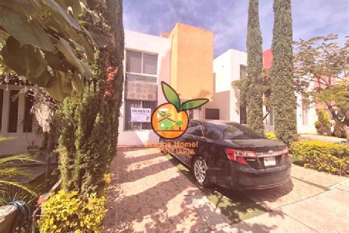 Nova, 20 — Escort in Colonia Santa Anita, Mexico