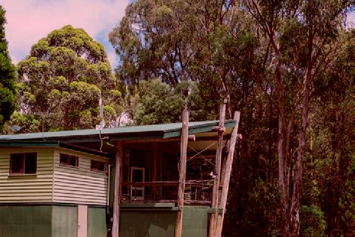Nova, 20 — Escort in Gembrook, Australia