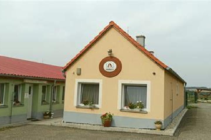 Nova, 20 — Escort in Mecholupy, Czech Republic