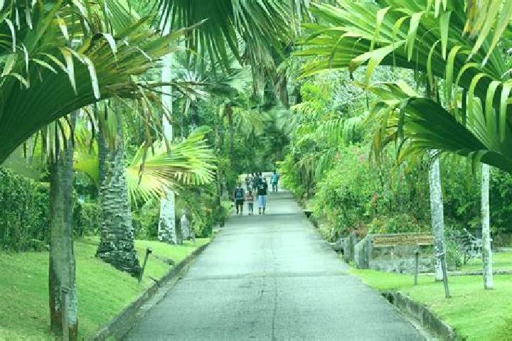 Nova, 20 — Escort in Mont Fleuri, Seychelles