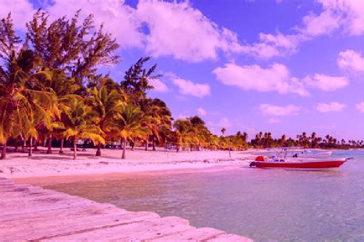 Nova, 20 — Escort in Padre Las Casas, Dominican Republic