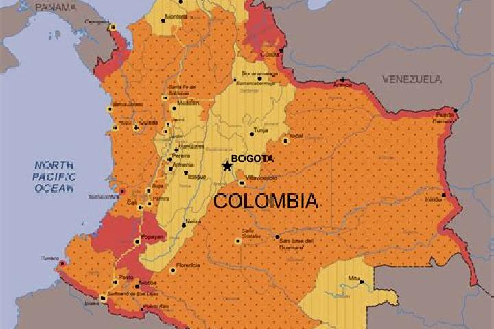 Nova, 20 — Escort in Palmito, Colombia