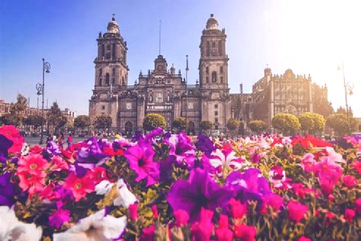 Nova, 21 — Escort in Ciudad Delicias, Mexico