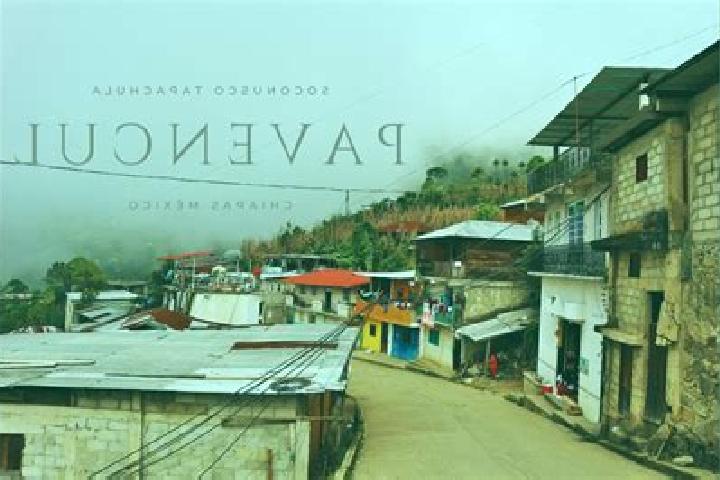 Nova, 21 — Escort in Pavencul, Mexico