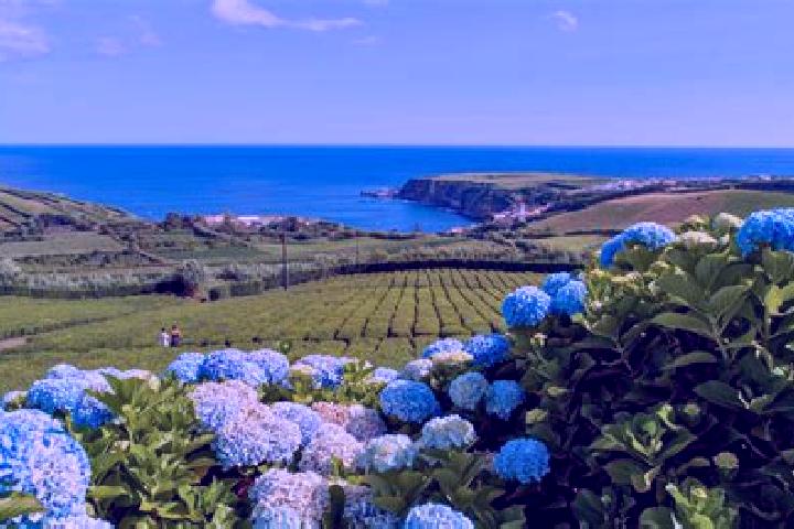 Nova, 21 — Escort in Sao Miguel do Couto, Portugal