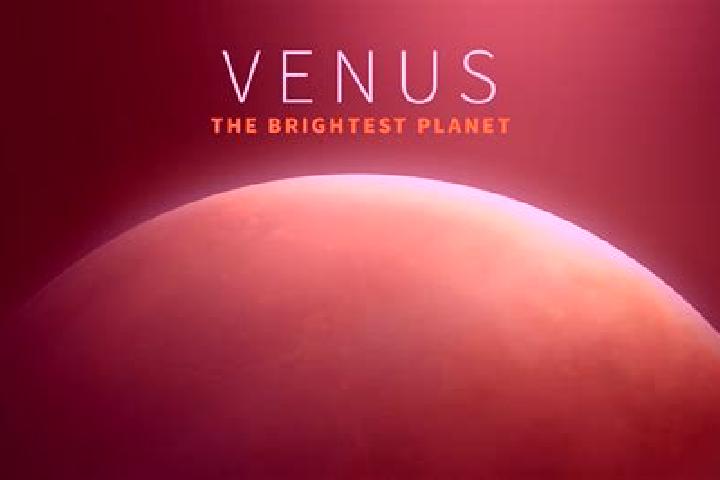 Nova, 21 — Escort in Venus, United States