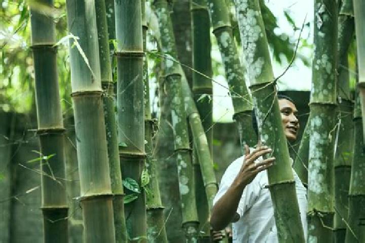 Nova, 22 — Escort in Bamboo Flat, India