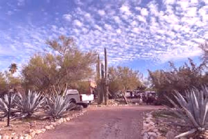 Nova, 22 — Escort in Catalina Foothills, United States