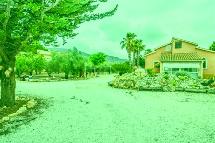 Nova, 22 — Escort in Frailes, Spain
