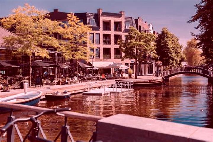 Nova, 22 — Escort in Gouwsluis, Netherlands