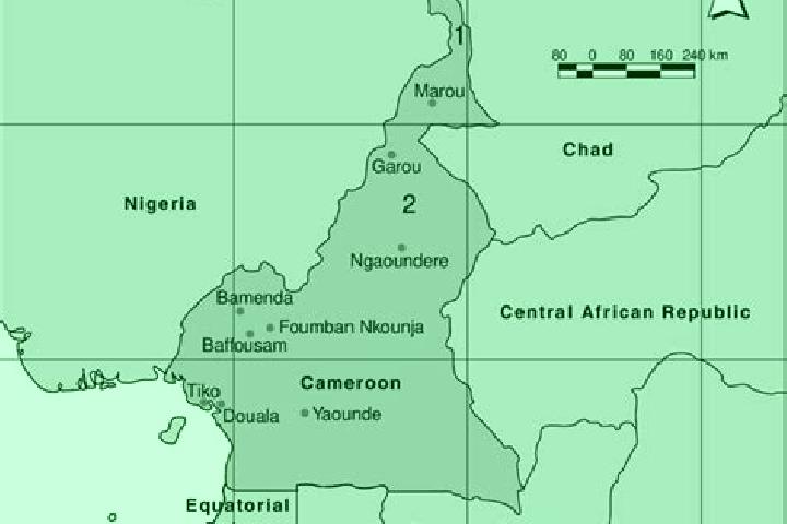 Nova, 22 — Escort in Lagdo, Cameroon