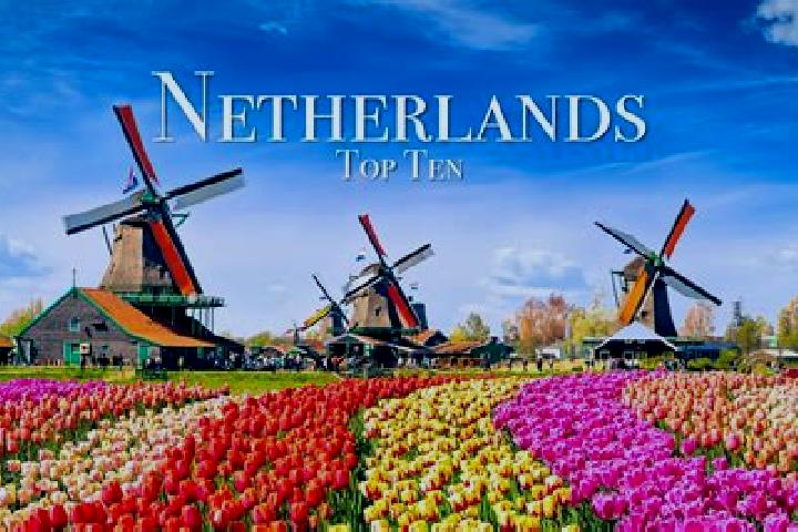 Nova, 22 — Escort in Lomm, Netherlands