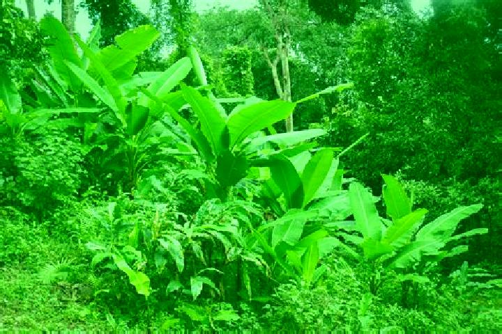 Nova, 22 — Escort in Mata de Platano, Honduras