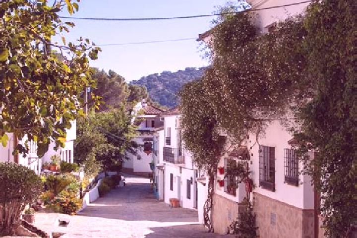Nova, 22 — Escort in Montecorto, Spain