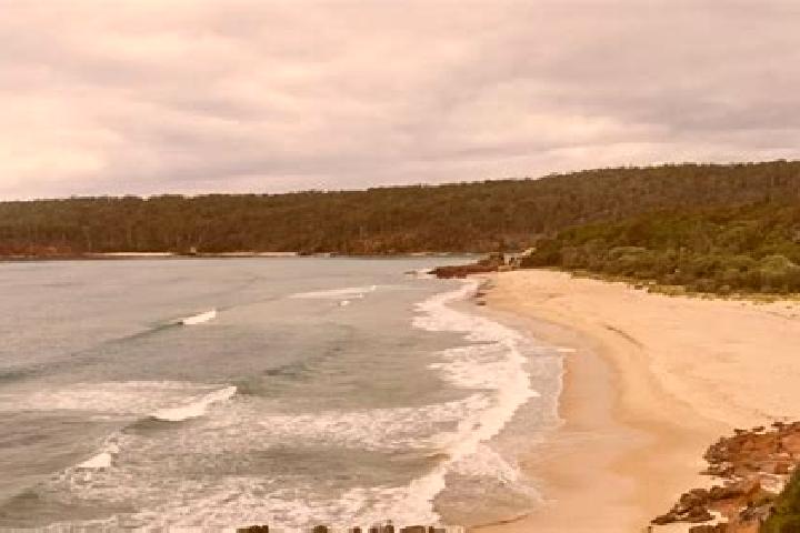 Nova, 22 — Escort in Pambula Beach, Australia
