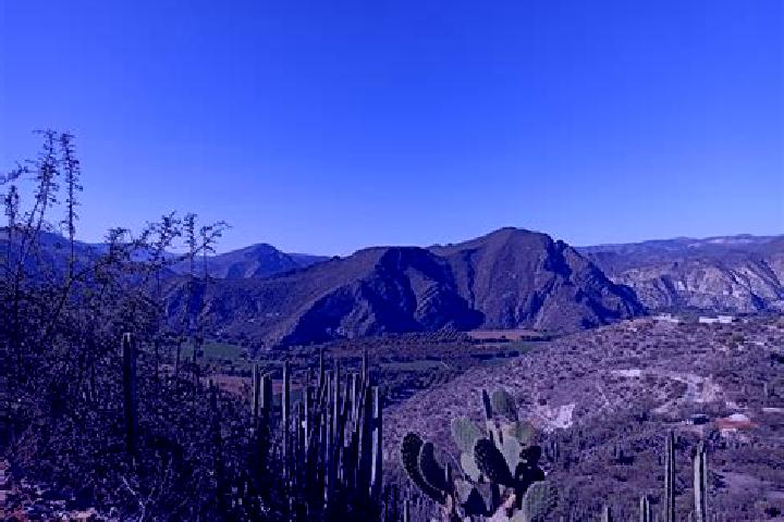 Nova, 22 — Escort in San Juan Tepecoculco, Mexico