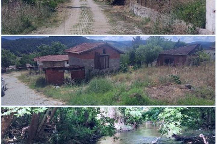 Nova, 22 — Escort in Seben, Turkey