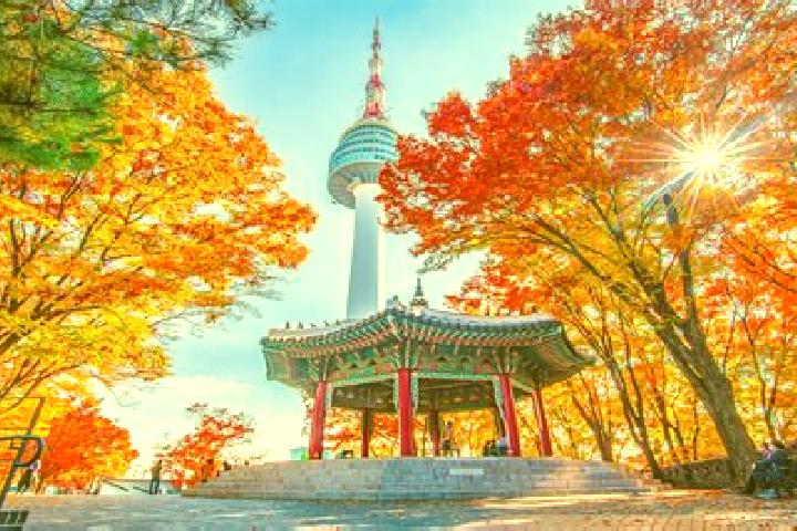 Nova, 22 — Escort in Sindo, North Korea