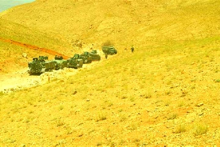 Nova, 23 — Escort in As Sawda, Syria