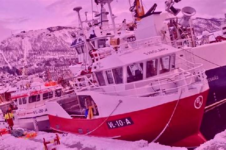 Nova, 23 — Escort in Breivikbotn, Norway