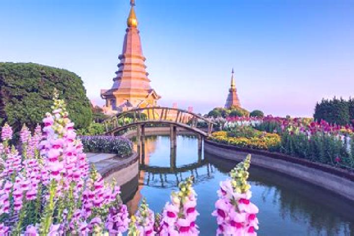 Nova, 23 — Escort in Chiang Mai, Thailand