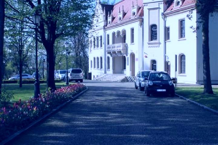 Nova, 23 — Escort in Chorkowka, Poland
