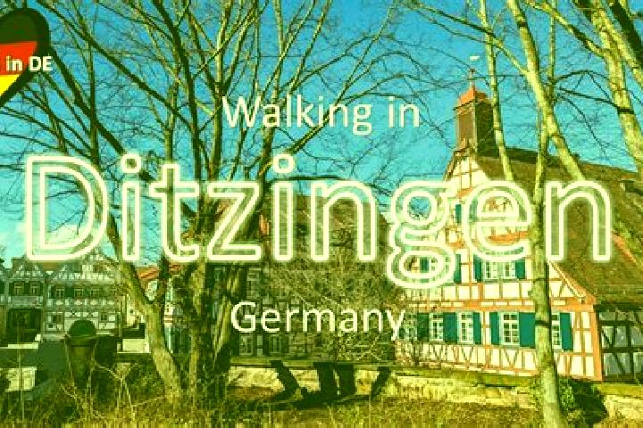 Nova, 23 — Escort in Ditzingen, Germany