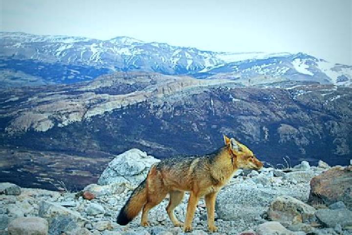 Nova, 23 — Escort in El Colorado, Argentina