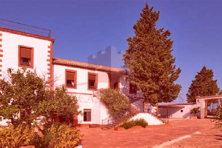 Nova, 23 — Escort in Molino de Santa Ana, Mexico