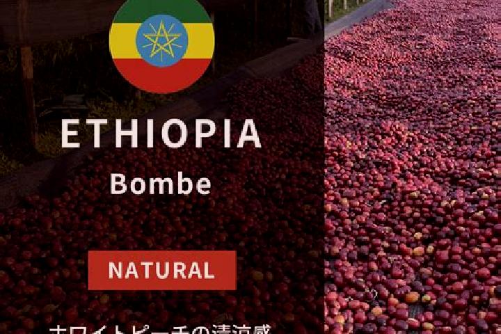 Nova, 24 — Escort in Bombe, Ethiopia