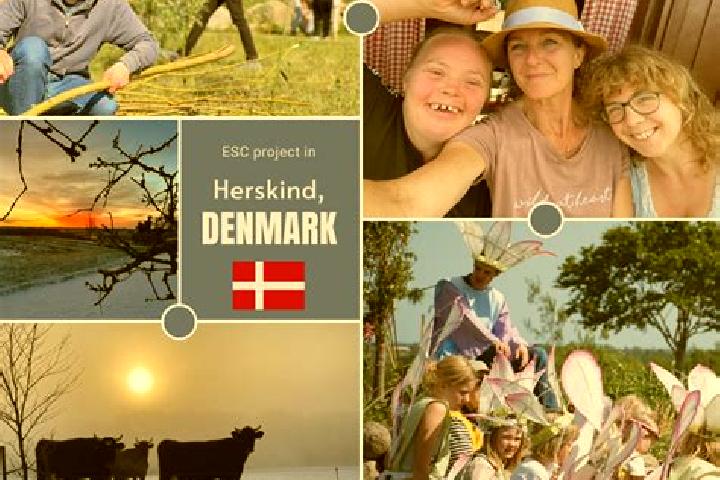 Nova, 24 — Escort in Herskind, Denmark