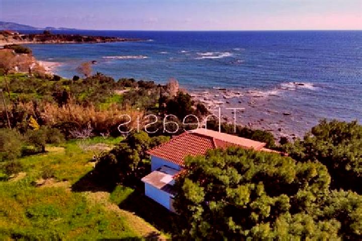 Nova, 24 — Escort in Koroni, Greece