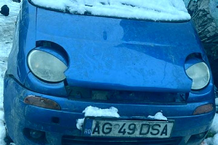 Nova, 24 — Escort in Scheiu de Jos, Romania