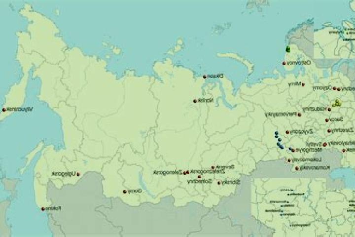 Nova, 24 — Escort in Tunoshna, Russia