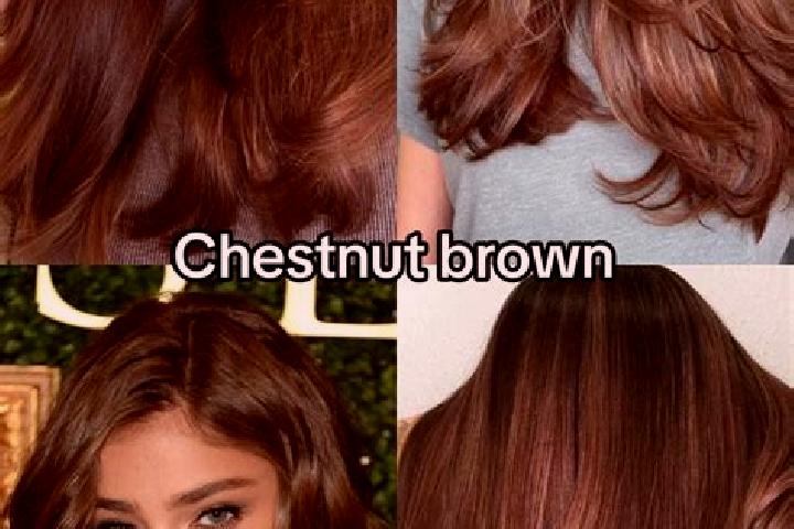 Nova, 25, a chestnut brown-eyed slavic companion based in Beas. Offering Domination, CIM, GFE, Overnight, Duos. Available for incall and outcall, day and eve...