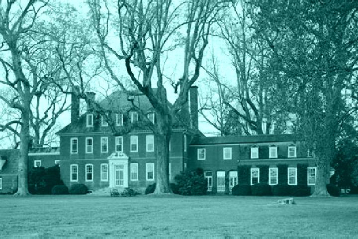 Nova, 25 — Escort in Clearbrook Park, United States