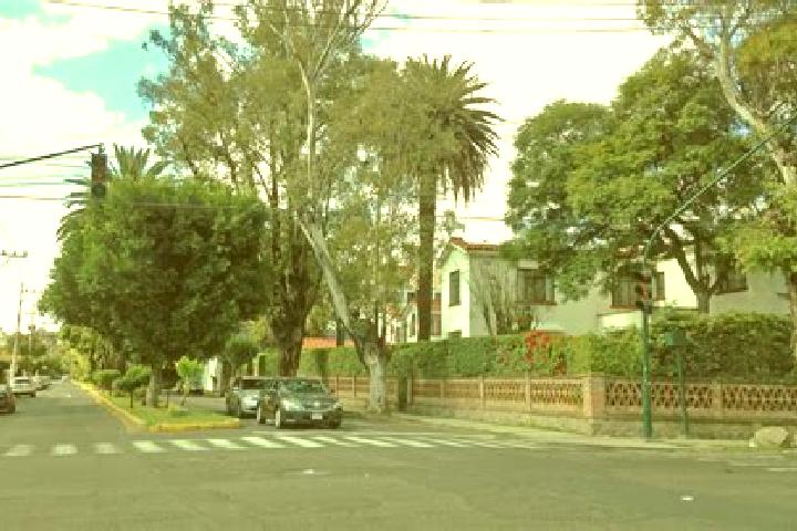 Nova, 25 — Escort in Colonia Anahuac, Mexico