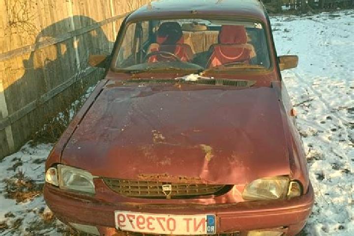 Nova, 25 — Escort in Doroscani, Romania