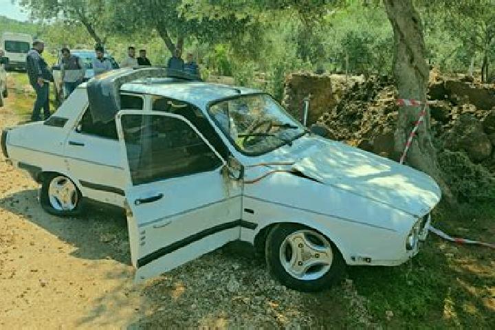 Nova, 25 — Escort in Eskikabasakal, Turkey